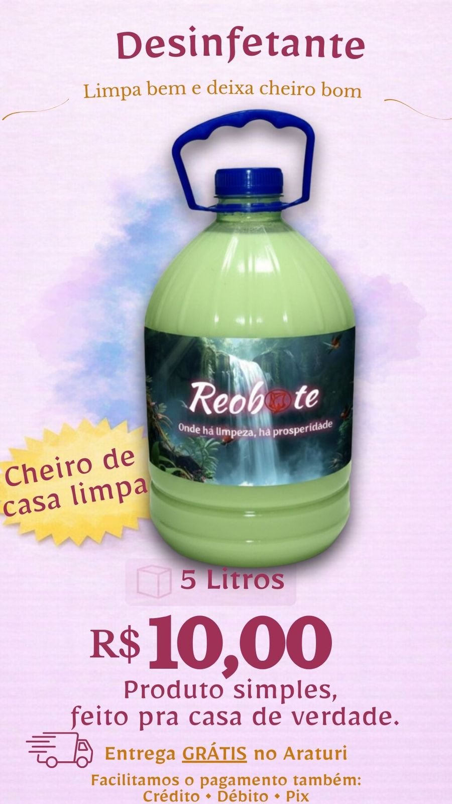 Desinfetante profissional 5 litros